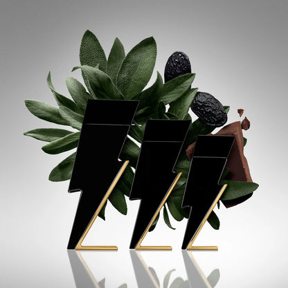 Perfume Carolina Herrera BAD BOY 100ml